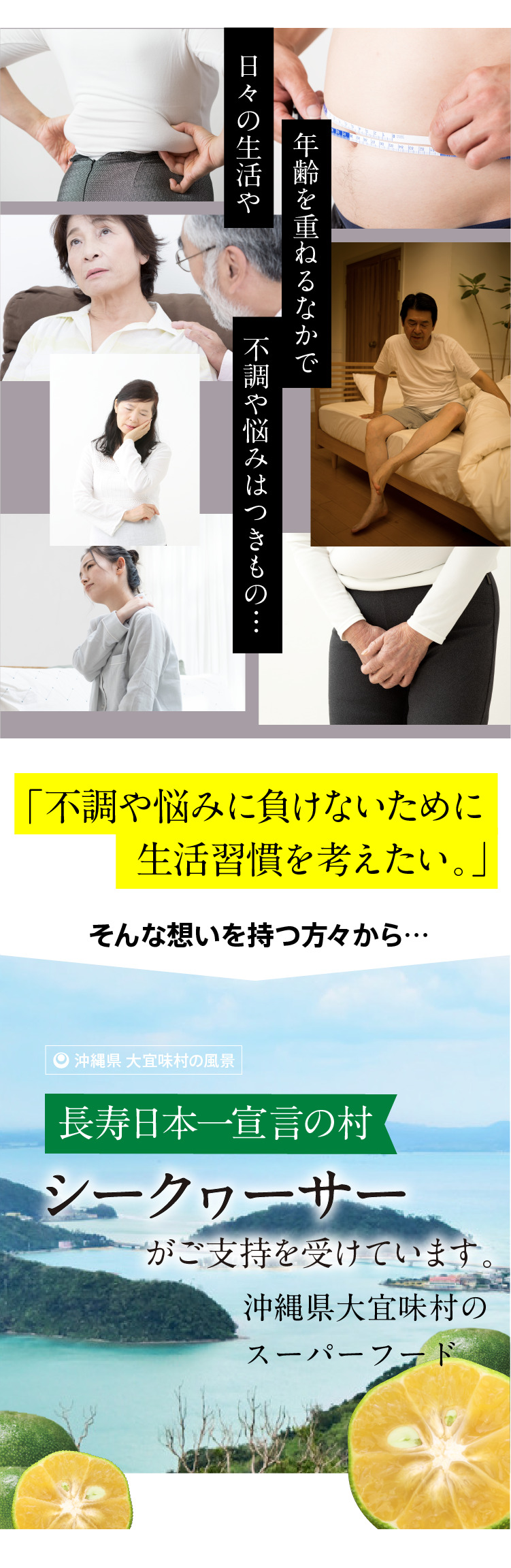 Description of Photo