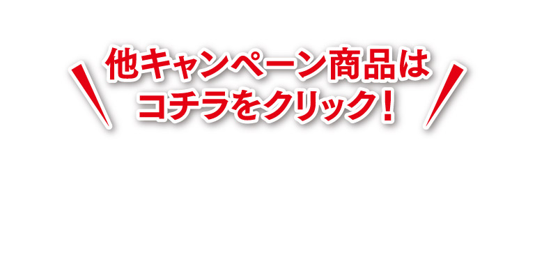 他キャンペーン商品はコチラをクリック！