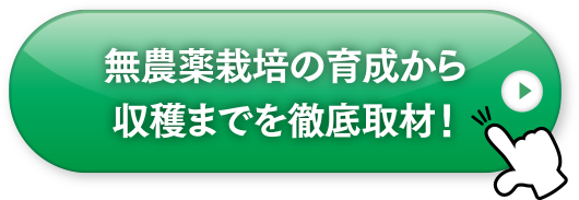 詳しくはこちら