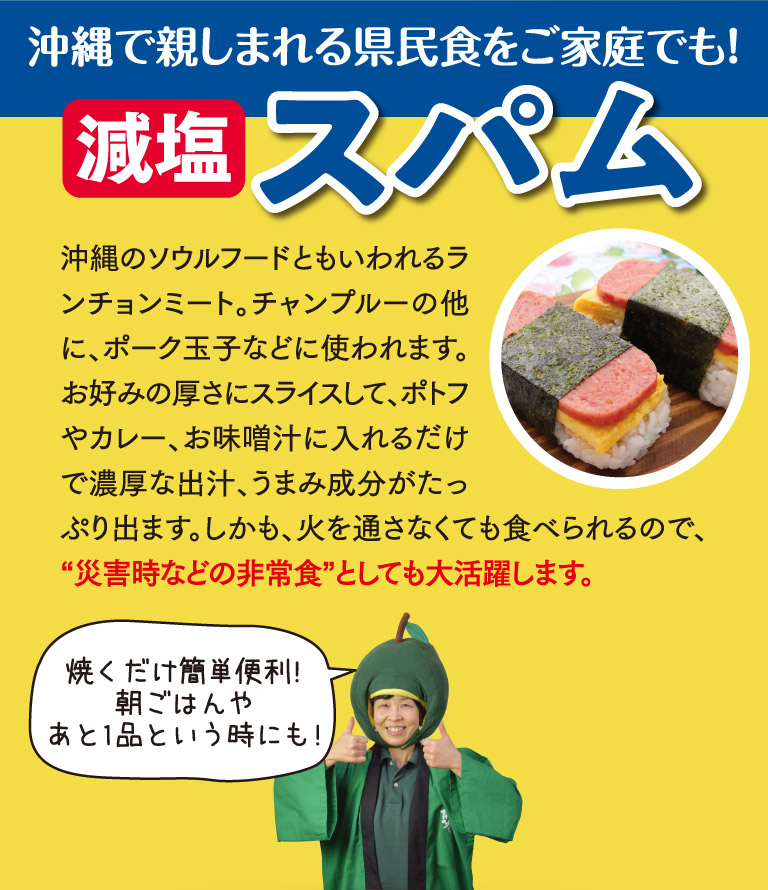 沖縄でも親しまれる県民食をご家庭でも！減塩スパム