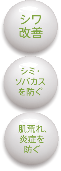シミ・ソバカスを防ぐ/シワ改善/肌荒れ、炎症を防ぐ
