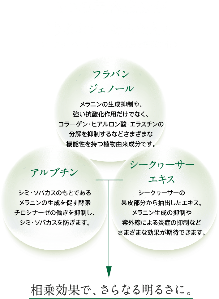  3つの美容成分が“うるおい”をあたえる