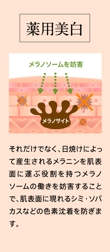 薬用美白