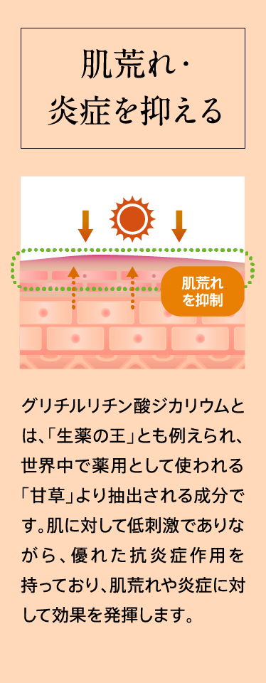 肌荒れ・炎症を抑える