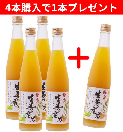 【4本購入でもう1本プレゼント】生姜の底力